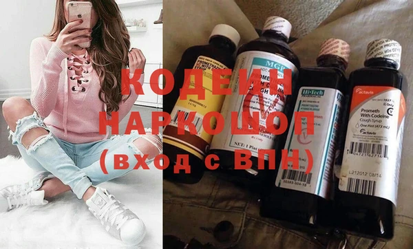 гашик Алексин