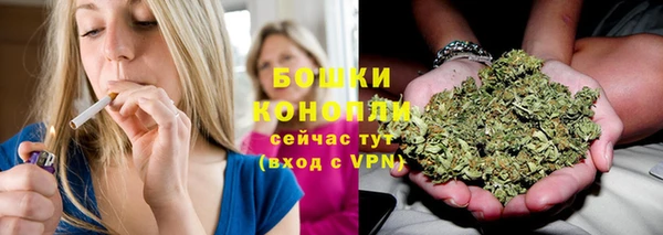 apvp Рославль